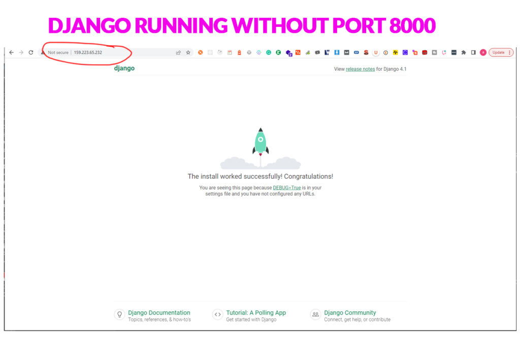 Django Running Without PORT 8000